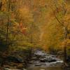Little River - 2010 +