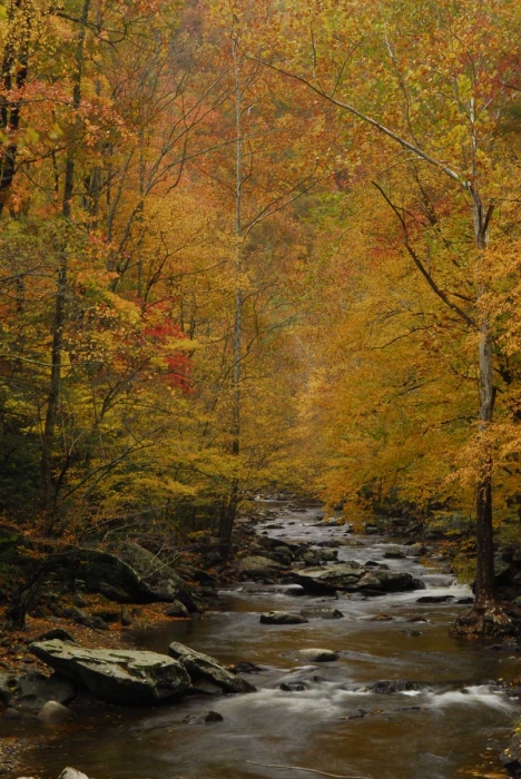 Little River - 2010 +