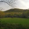 Early Morning in Cade's Cove +