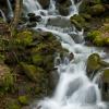 Smokies Cascades