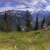 Mt. Rainier National Park
