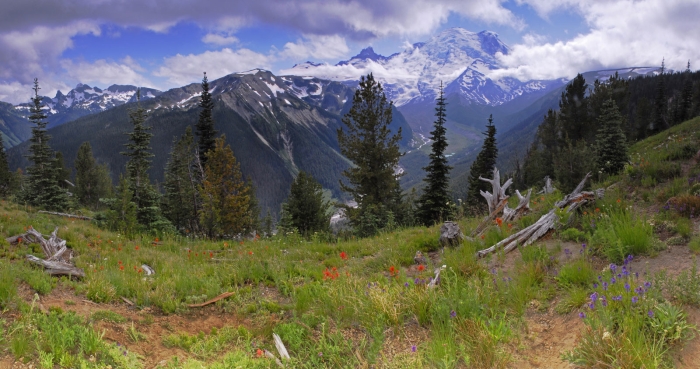 Mt. Rainier from Emmons Vista Trail +