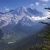 Mt. Rainier +