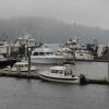 Makah Harbor