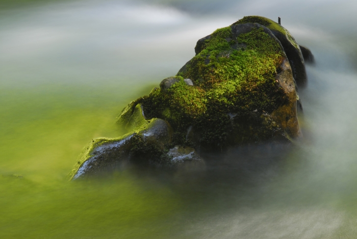 Above Sol Duc Falls
