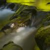 Above Sol Duc Falls