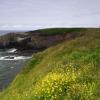 Oregon Coast