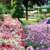 Butchart Gardens 1 - Victoria