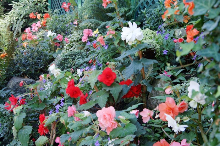 Butchart Gardens 2  - Victoria, BC