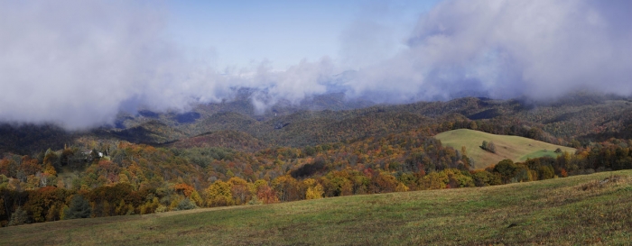 Carolina Morning +