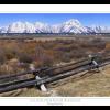 The Tetons from Cunningham Ranch +
