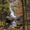 Middle Prong River in Great Smoky Mountains National Park 2010