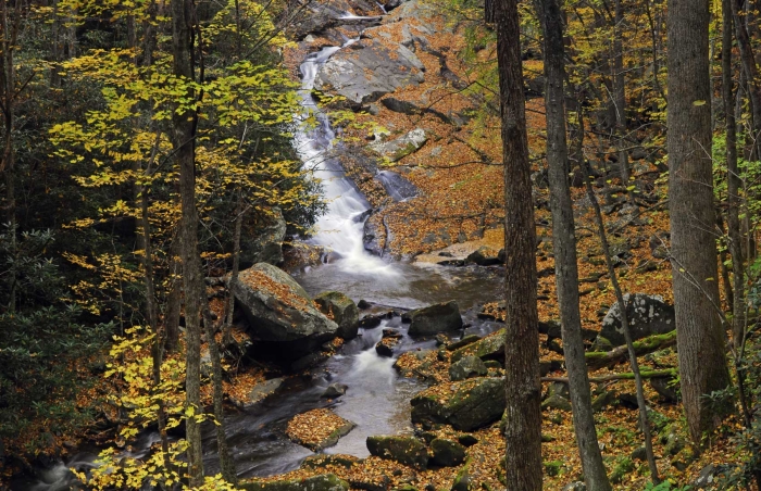 Middle Prong River in Great Smoky Mountains National Park 2010