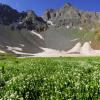 "Secret" Peak Basin +