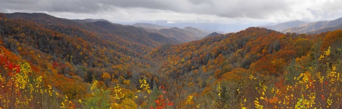 Near Newfound Gap In the Smokies -2010