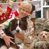 Christmas Puppies
