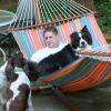 Paul and the Puppies