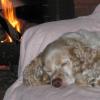 Chuck the Snooze Master
