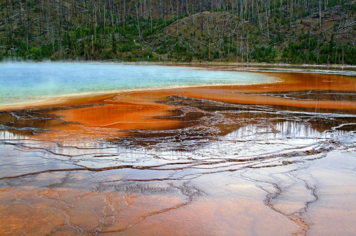 Grand Prismatic Spring +