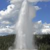 Old Faithful