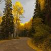 Kebler Pass Aglow