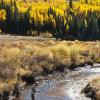 "Fish On" - Cement Creek