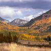 Cement Creek Meadow