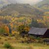 The Barn +