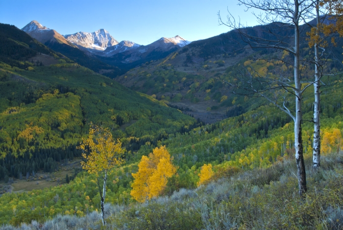Capitol Peak