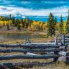 The Fence