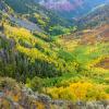 Last Dollar Overlook