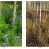 A Season's Difference