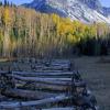 Mt. Sneffels from Blue Lake Trailhead Meadow