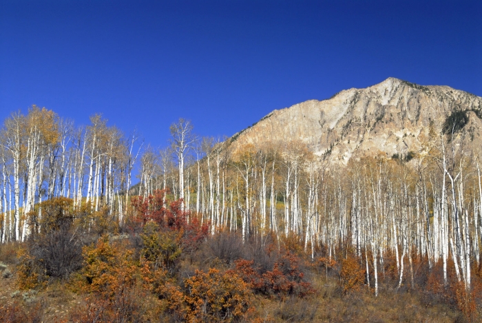 Marcellina Mountain