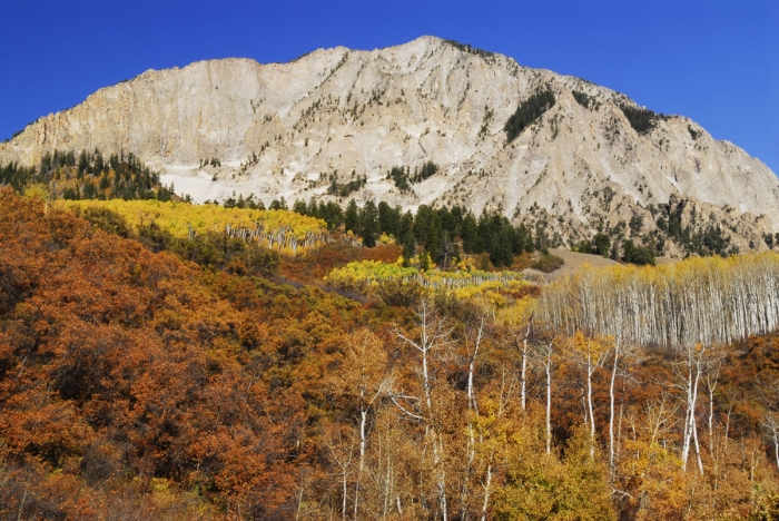 Marcellina Mountain