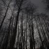 Midnight at High Noon