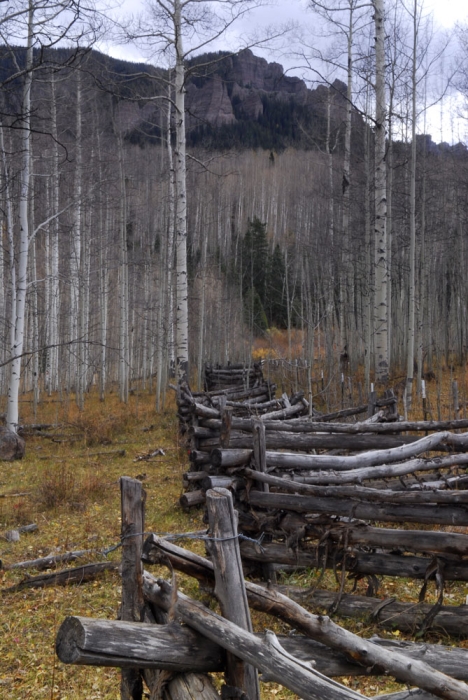 Bole Fence Near Silver Jack