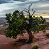 Green River Overlook Sunset