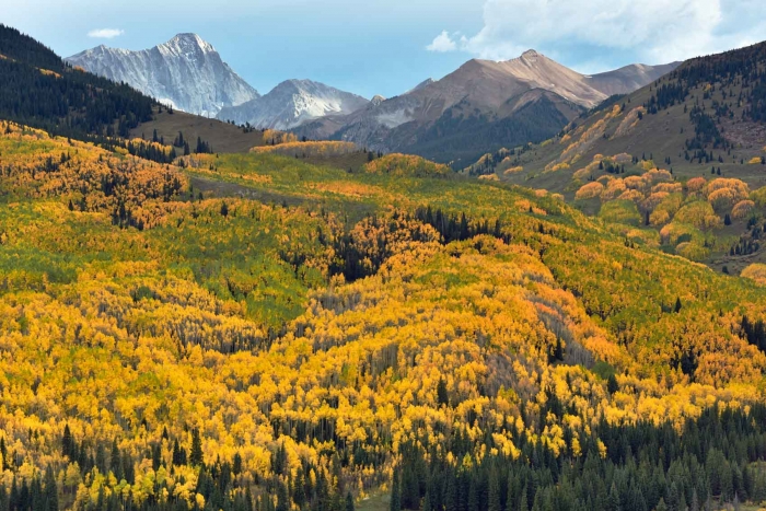 Capitol Creek Overlook