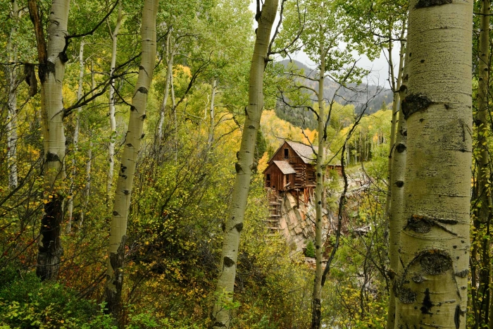 First View