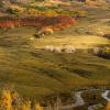 "Field and Stream"