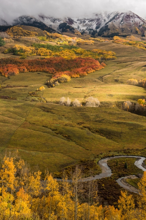 "Field and Stream"
