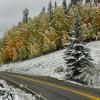 Kebler Pass Wonderland