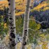 Aspen and Ohio Creek Valley