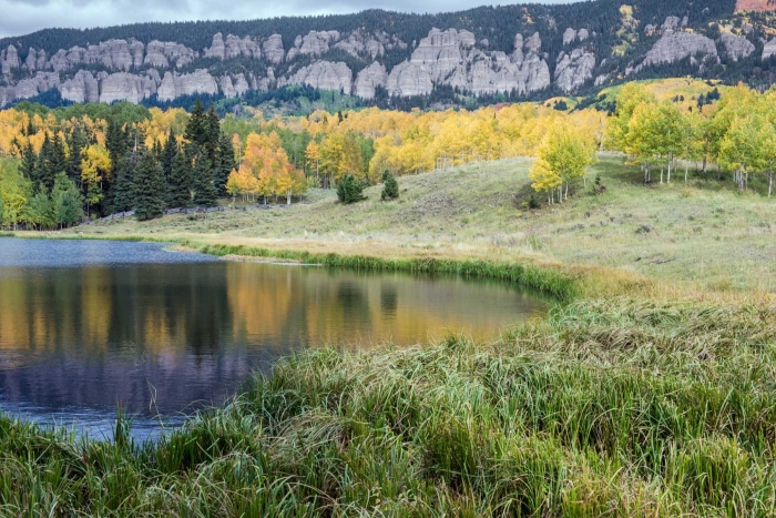 Grass, Aspen and Big Mesa