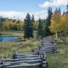 Beaver Lake Boll Fence