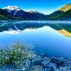 Crystal Reflections +