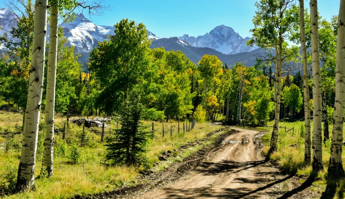 The Road to Sneffels +