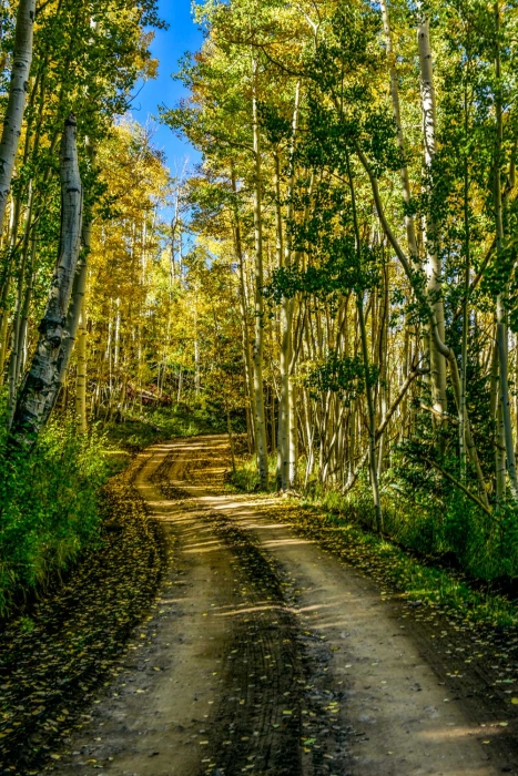Last Dollar Road