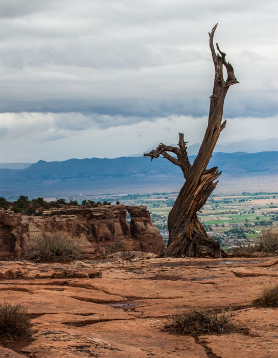 Window Rock